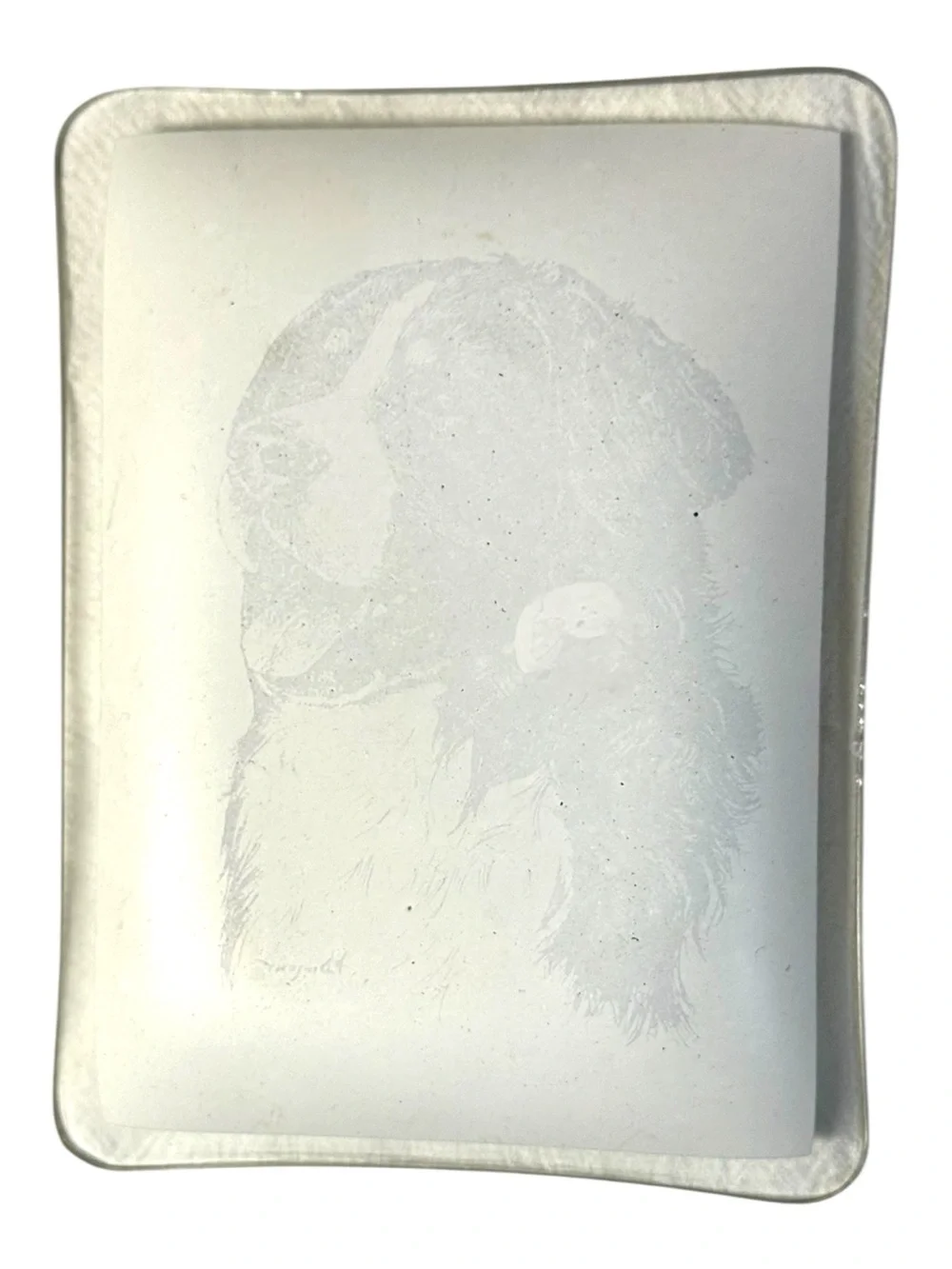P. Dimeny 70’s Vintage Bernese Mountain Dog Portrait Glass Trinket Tray